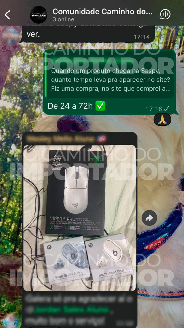 depoimento2 (1)